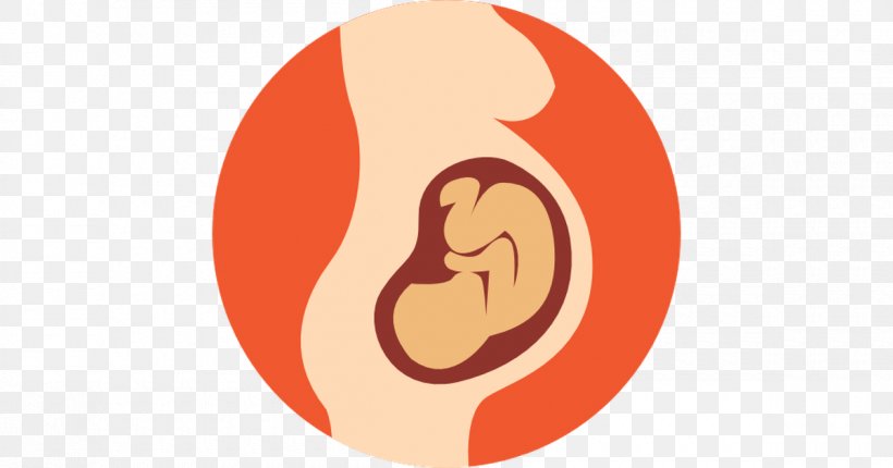 Clip Art Pregnancy Vector Graphics, PNG, 1200x630px, Pregnancy, Alcohol And Pregnancy, Ear, Fetus, Infant Download Free