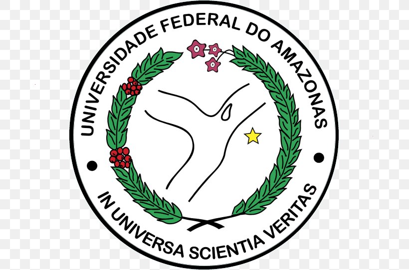 Federal University Of Amazonas Amazonas State University Federal University Of Minas Gerais Universidade Positivo, PNG, 679x542px, Federal University Of Minas Gerais, Amazonas, Area, Brand, Brazil Download Free