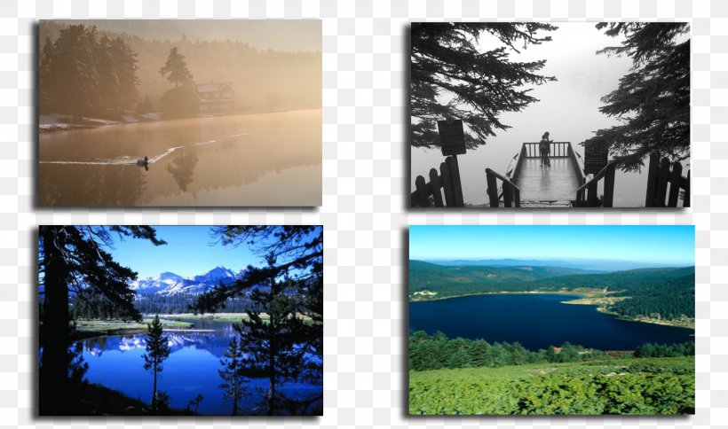 Water Resources Painting Ecosystem Desktop Wallpaper Picture Frames, PNG, 1500x886px, Water Resources, Collage, Computer, Ecosystem, Landscape Download Free
