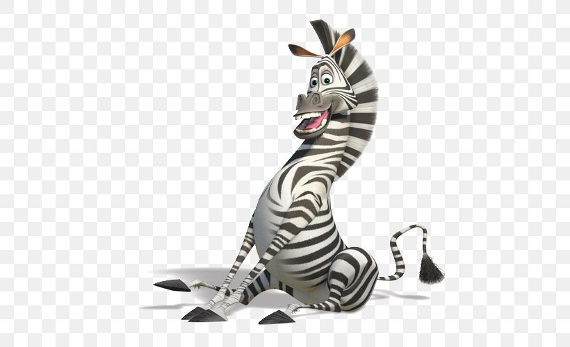 Zebra YouTube Madagascar Kowalski Film, PNG, 500x500px, Zebra, Animal Figure, Animated Film, Fauna, Film Download Free