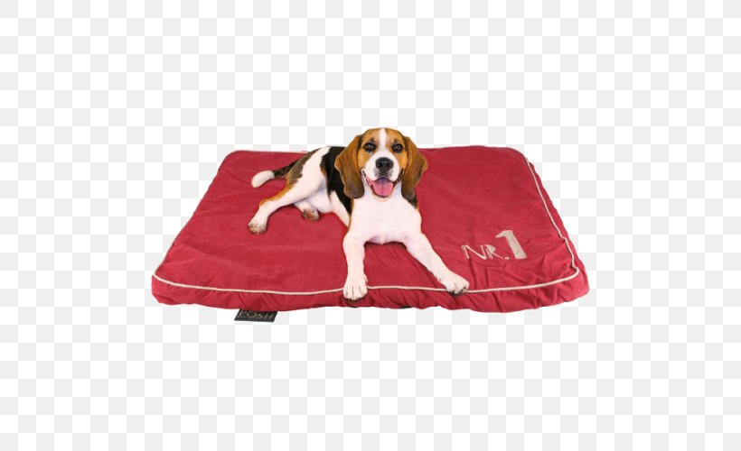 Dog Breed Pin Pet Companion Dog, PNG, 500x500px, Dog Breed, Animal, Basket, Bed, Cap Download Free