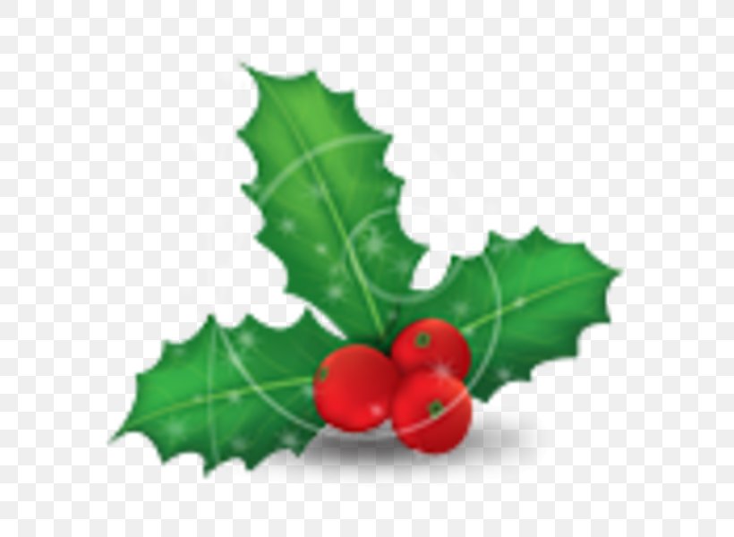 Mistletoe Phoradendron Tomentosum Christmas Common Holly Clip Art, PNG, 600x600px, Mistletoe, Aquifoliaceae, Aquifoliales, Christmas, Christmas Ornament Download Free