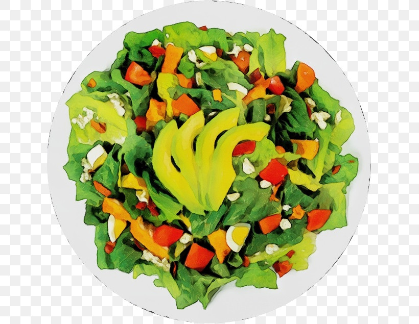 Salad, PNG, 635x635px, Watercolor, Dish, Fruit, Garnish, Leaf Vegetable Download Free