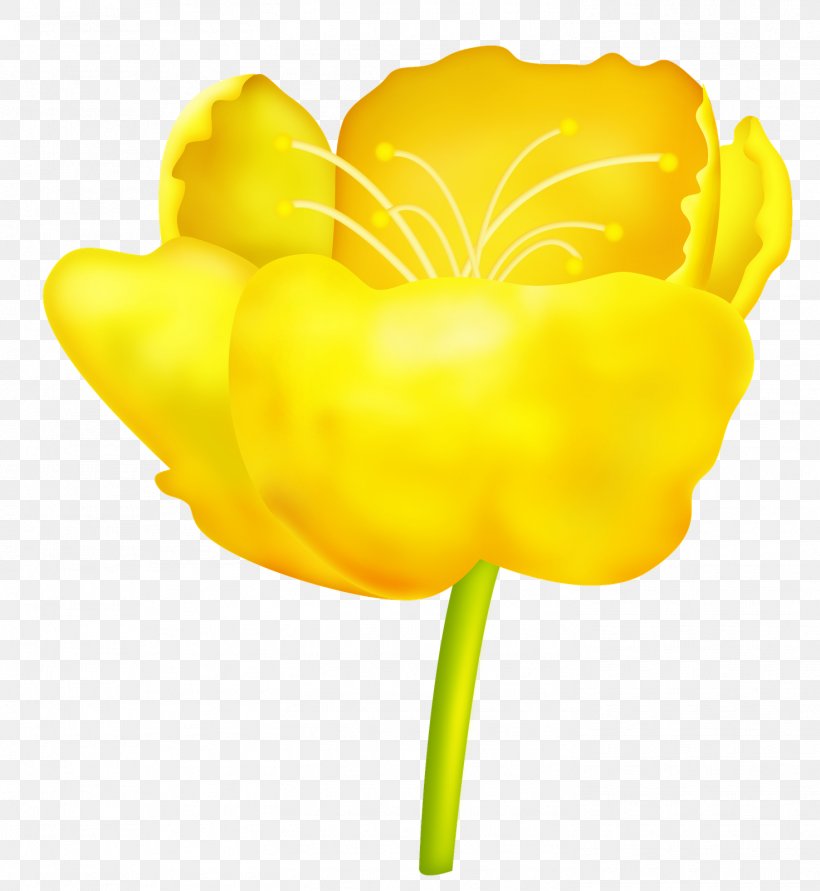 Tulip Flower Petal Clip Art, PNG, 1472x1600px, Tulip, Blog, Cut Flowers, Flower, Flowering Plant Download Free