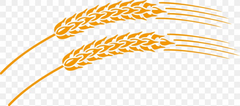 Wheat, PNG, 981x435px, Wheat, Artworks, Commodity, Computer Graphics, Ear Download Free