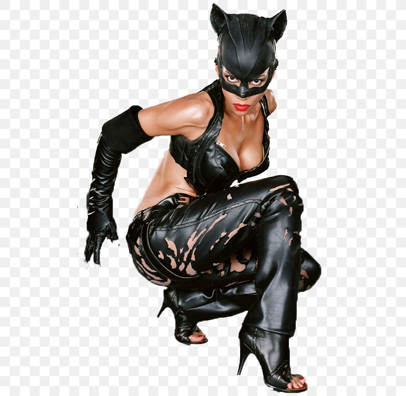 Catwoman Patience Phillips Storm Batman Actor, PNG, 507x800px, Watercolor, Cartoon, Flower, Frame, Heart Download Free