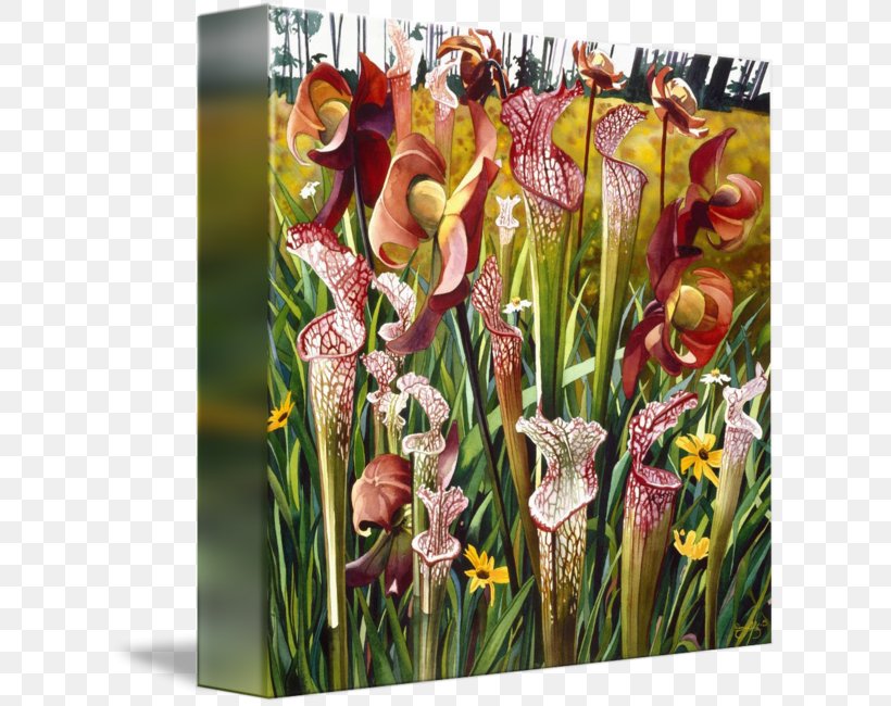 Floral Design Cut Flowers Gladiolus, PNG, 614x650px, Floral Design, Cut Flowers, Flora, Floristry, Flower Download Free