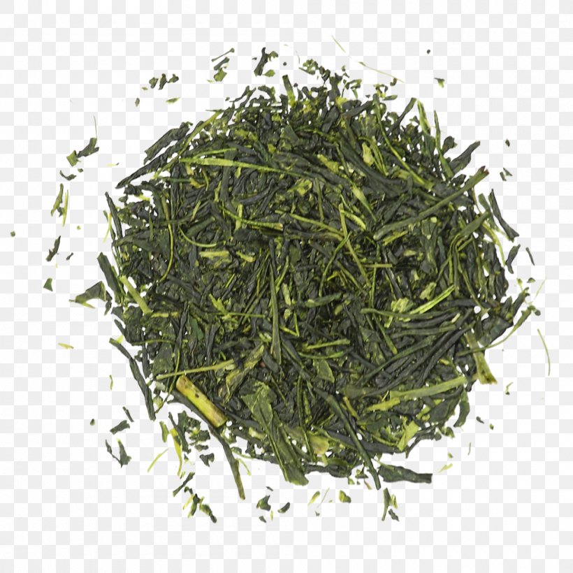 Gyokuro Nilgiri Tea Oolong Keemun, PNG, 1000x1000px, Gyokuro, Aonori, Assam Tea, Bai Mudan, Bancha Download Free