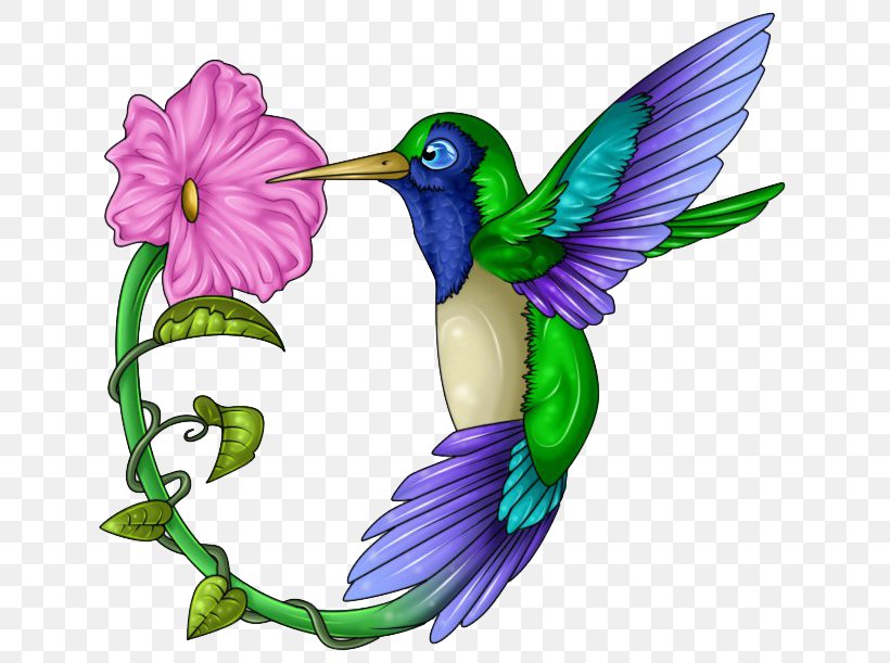 Hummingbird Beak Wing Feather, PNG, 664x611px, Hummingbird, Art, Beak, Bird, Feather Download Free