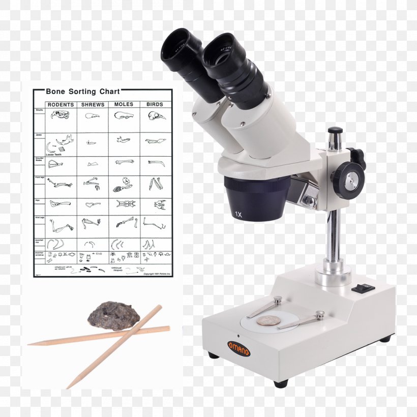 Optical Microscope Stereo Microscope Light Microscopy, PNG, 1100x1100px, Microscope, Binoculars, Dissection, Eyepiece, Light Download Free