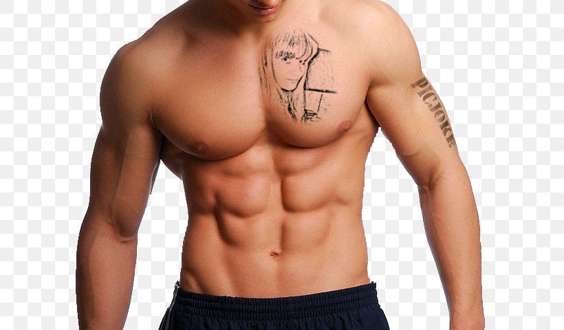 Rectus Abdominis Muscle Abdominal Exercise Bodybuilding, PNG, 640x480px, Watercolor, Cartoon, Flower, Frame, Heart Download Free