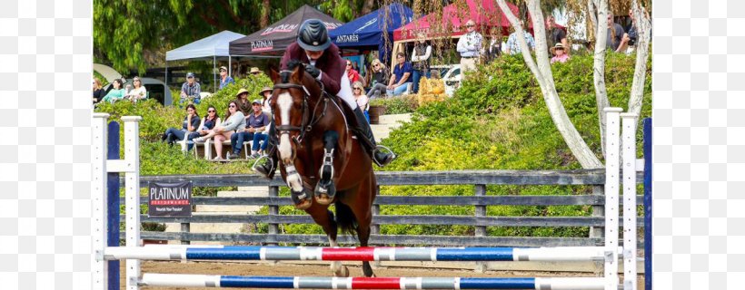 Show Jumping Stallion Holsteiner Country Lane Farm Equestrian, PNG, 1280x500px, Show Jumping, Animal Sports, Bridle, Competition, English Riding Download Free