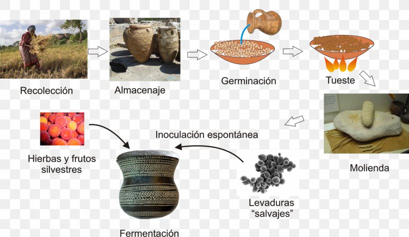 Beer Brewing Grains & Malts Historia De La Cerveza En España Industry Manufacturing, PNG, 1600x930px, Beer, Beer Brewing Grains Malts, Ceramic, Industrialisation, Industry Download Free