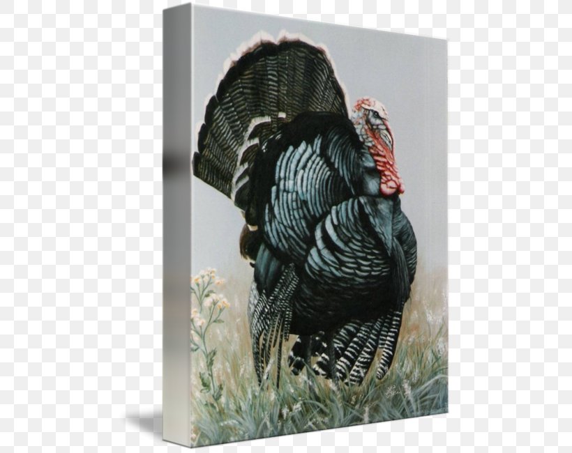 Gallery Wrap Canvas Painting Art Domesticated Turkey, PNG, 479x650px, Gallery Wrap, Art, Beak, Canvas, Domesticated Turkey Download Free