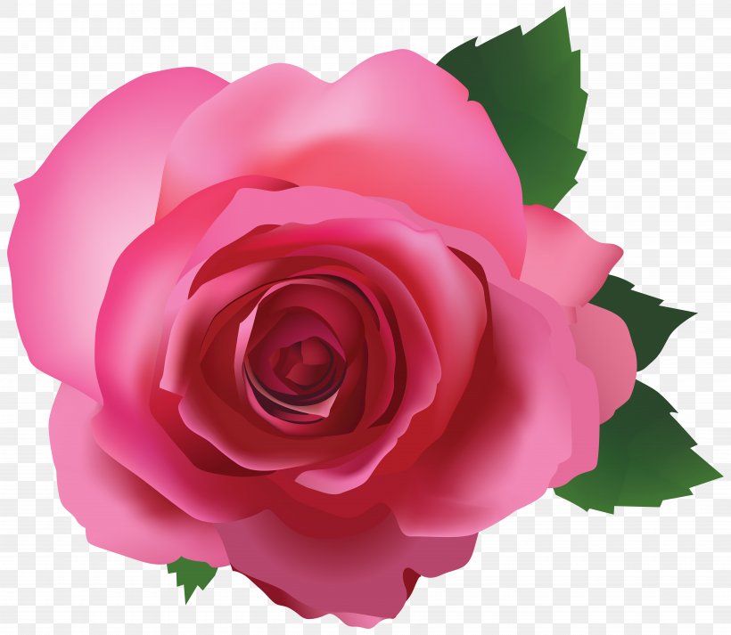 Rose Pink Clip Art, PNG, 7000x6095px, 3d Computer Graphics, Rose, Annual Plant, China Rose, Close Up Download Free