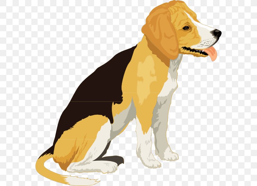 Beagle Puppy Free Content Clip Art, PNG, 594x596px, Beagle, Carnivoran, Companion Dog, Dog, Dog Breed Download Free