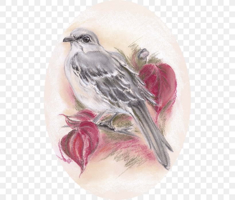 Drawing Finches Beak Watercolor Painting Art, PNG, 513x700px, Drawing, Art, Artwork, Autumn, Beak Download Free
