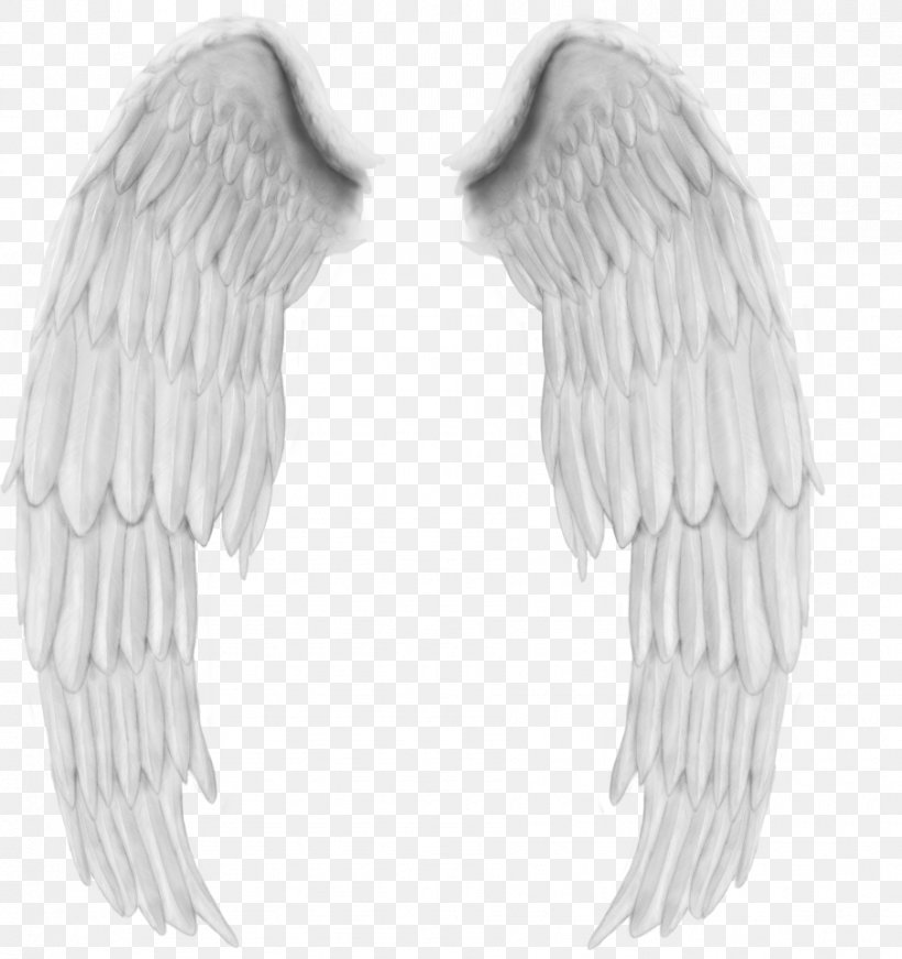 Feather Angel, PNG, 905x962px, Feather, Angel, Art, Beak, Black And White Download Free