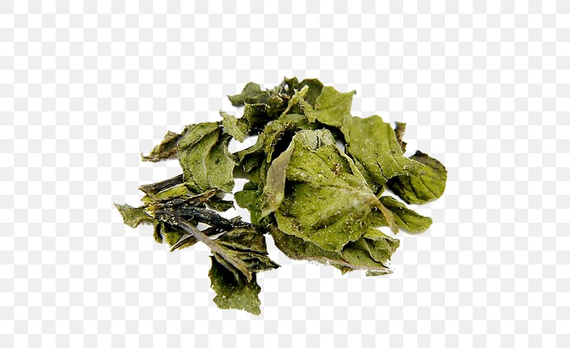 Peppermint Bancha Oolong Leaf Vegetable, PNG, 500x500px, Peppermint, Bancha, Collard Greens, Food, Herb Download Free
