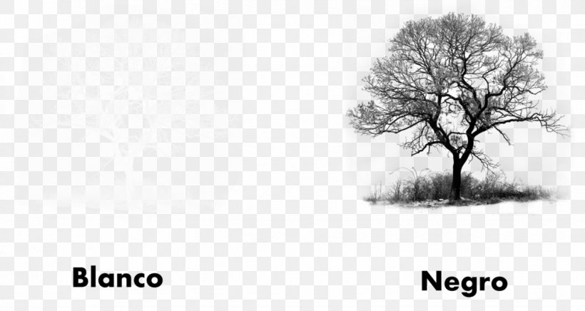 Tree Branch Photography Silhouette, PNG, 1224x652px, Tree, Art, Artwork, Autumn, Black And White Download Free