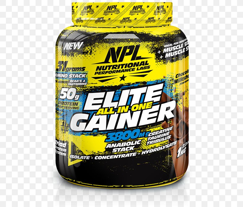 Dietary Supplement Milkshake Gainer National Premier Leagues Nutrition, PNG, 576x700px, Dietary Supplement, Branchedchain Amino Acid, Brand, Chocolate, Creatine Download Free