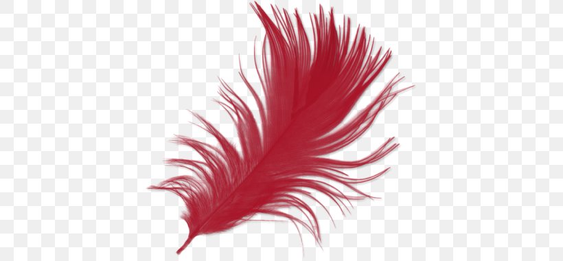 Feather Download IMVU, PNG, 400x380px, Feather, Aile, Avatar, Blog, Imvu Download Free