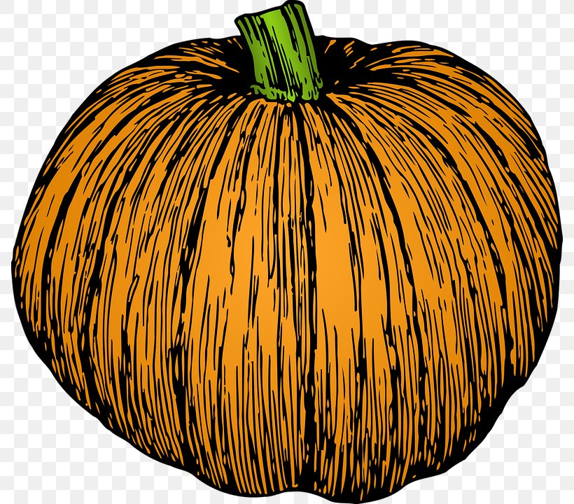 Jack-o'-lantern Pumpkin Clip Art Drawing Calabaza, PNG, 788x720px, Pumpkin, Calabaza, Commodity, Cucumber Gourd And Melon Family, Cucurbita Download Free
