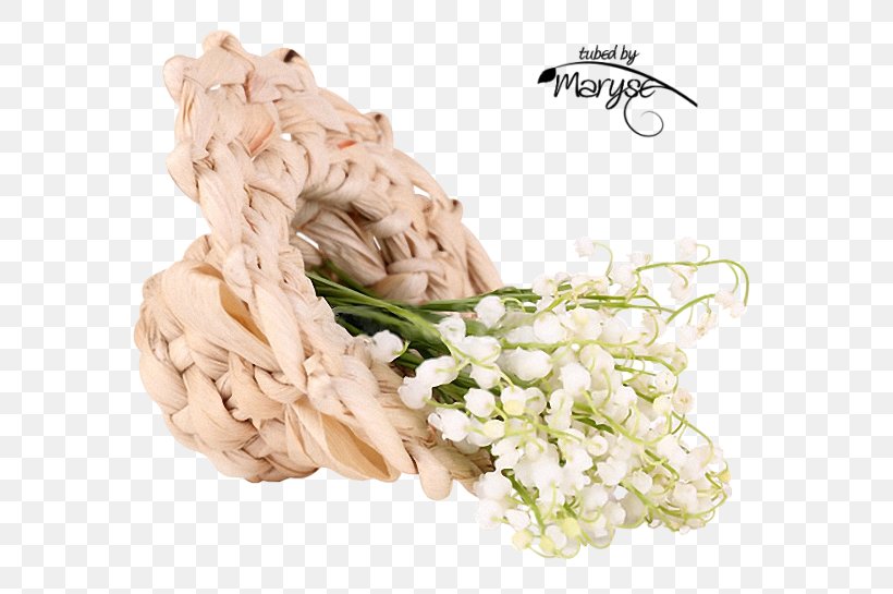 Flower Oyster May 1 PaintShop Pro, PNG, 610x545px, Flower, Cueillette, Flower Bouquet, Hair Accessory, Marriage Download Free