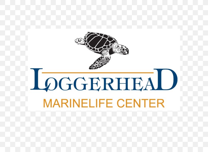 Loggerhead Marinelife Center Loggerhead Park Loggerhead Sea Turtle, PNG, 600x600px, Loggerhead Marinelife Center, Body Jewelry, Brand, Conservation, Endangered Sea Turtles Download Free