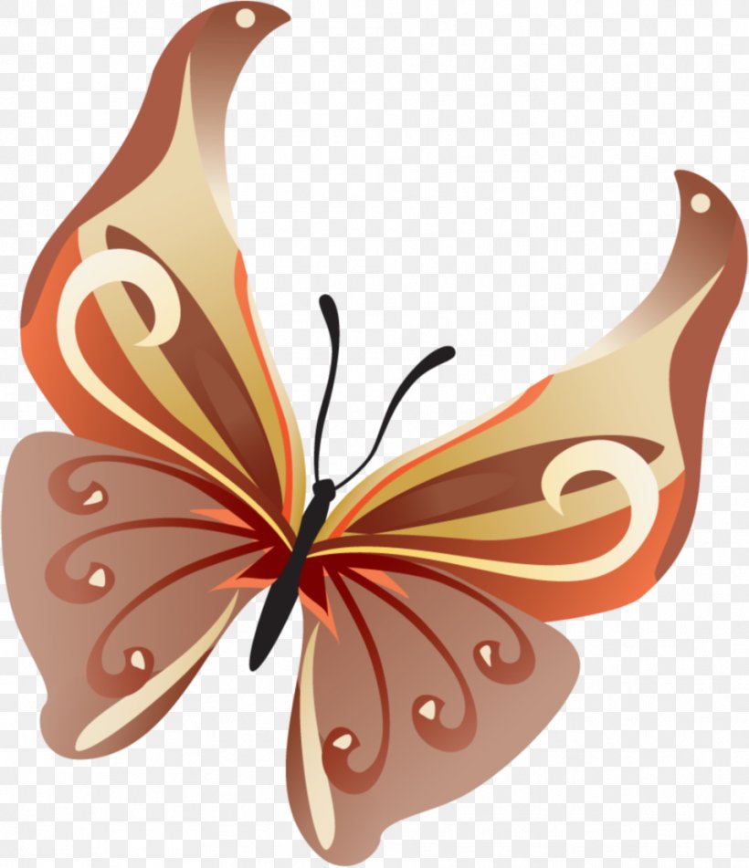 Photography Digital Image Clip Art, PNG, 957x1111px, Photography, Animation, Arthropod, Brush Footed Butterfly, Butterflies And Moths Download Free
