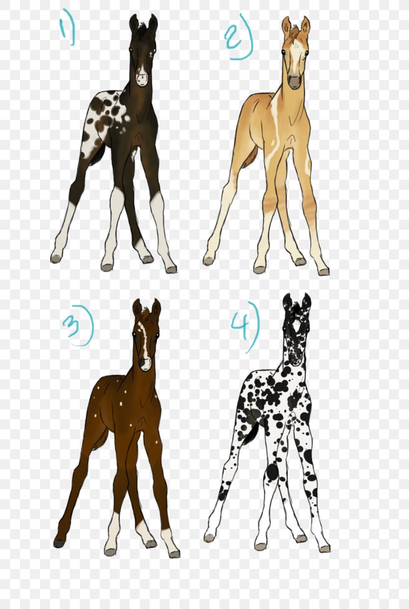 Dog Breed Giraffe Cat Horse, PNG, 654x1220px, Dog Breed, Big Cat, Big Cats, Breed, Carnivoran Download Free