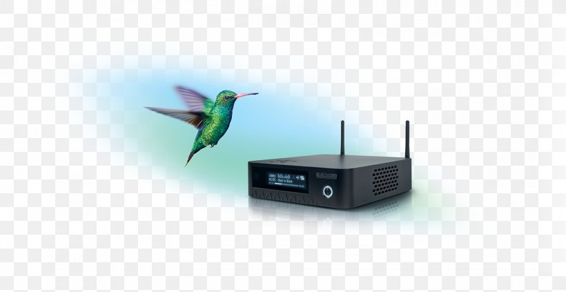 Technology Hummingbird M, PNG, 1531x791px, Technology, Hummingbird, Hummingbird M Download Free