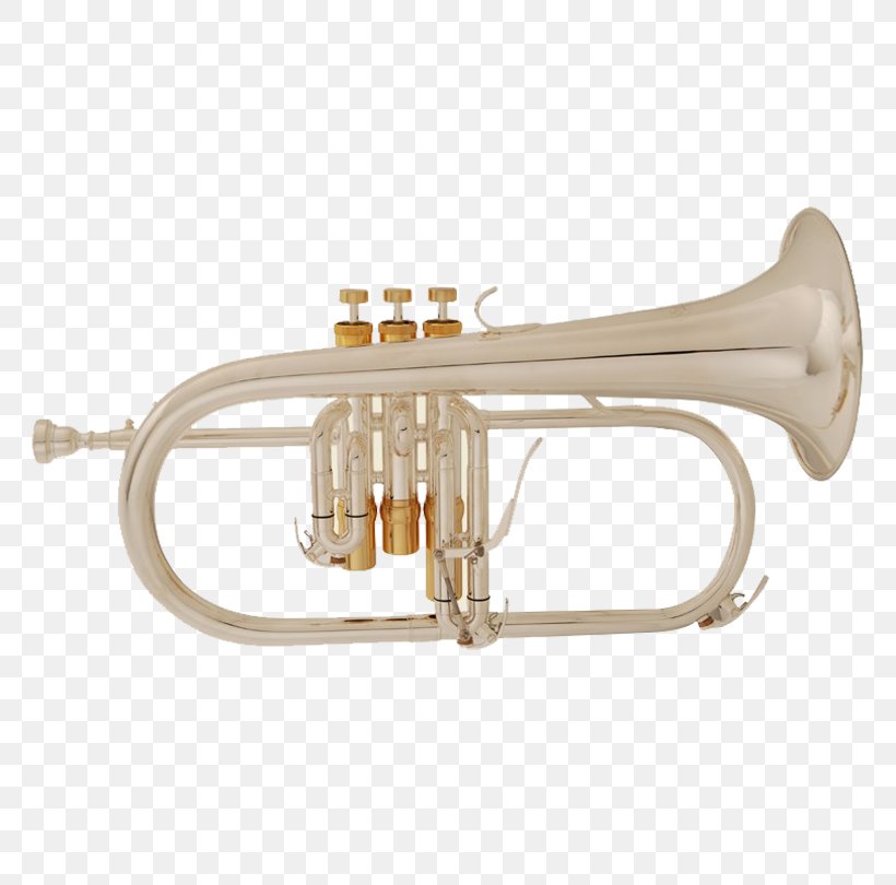 Cornet Flugelhorn Trumpet Tenor Horn Mellophone, PNG, 810x810px, Watercolor, Cartoon, Flower, Frame, Heart Download Free