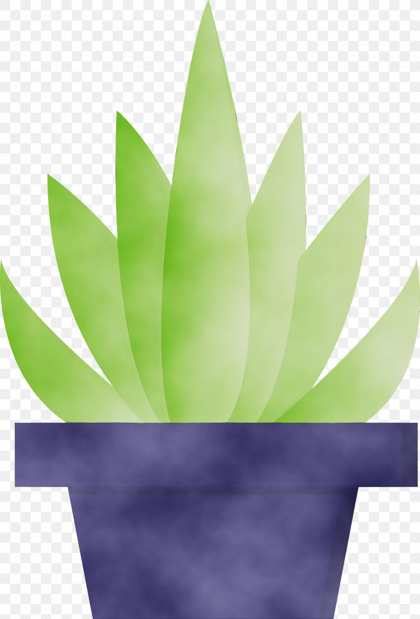 Green Leaf Plant Agave Flower, PNG, 2034x3000px, Watercolor, Agave, Aloe, Flower, Flowerpot Download Free