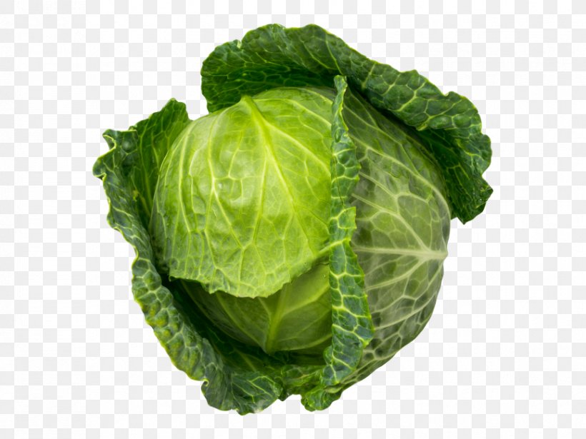 Vegetables Cartoon, PNG, 866x650px, Vegetable, Brussels Sprout, Brussels Sprouts, Cabbage, Collard Greens Download Free