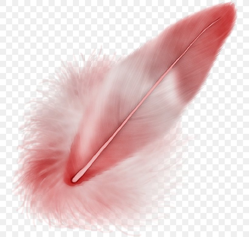 Feather, PNG, 748x779px, Watercolor, Ear, Fashion Accessory, Feather, Fur Download Free