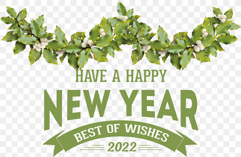 Happy New Year 2022 2022 New Year 2022, PNG, 3000x1957px, Christmas Day, December, Drawing, Festival, Holiday Download Free