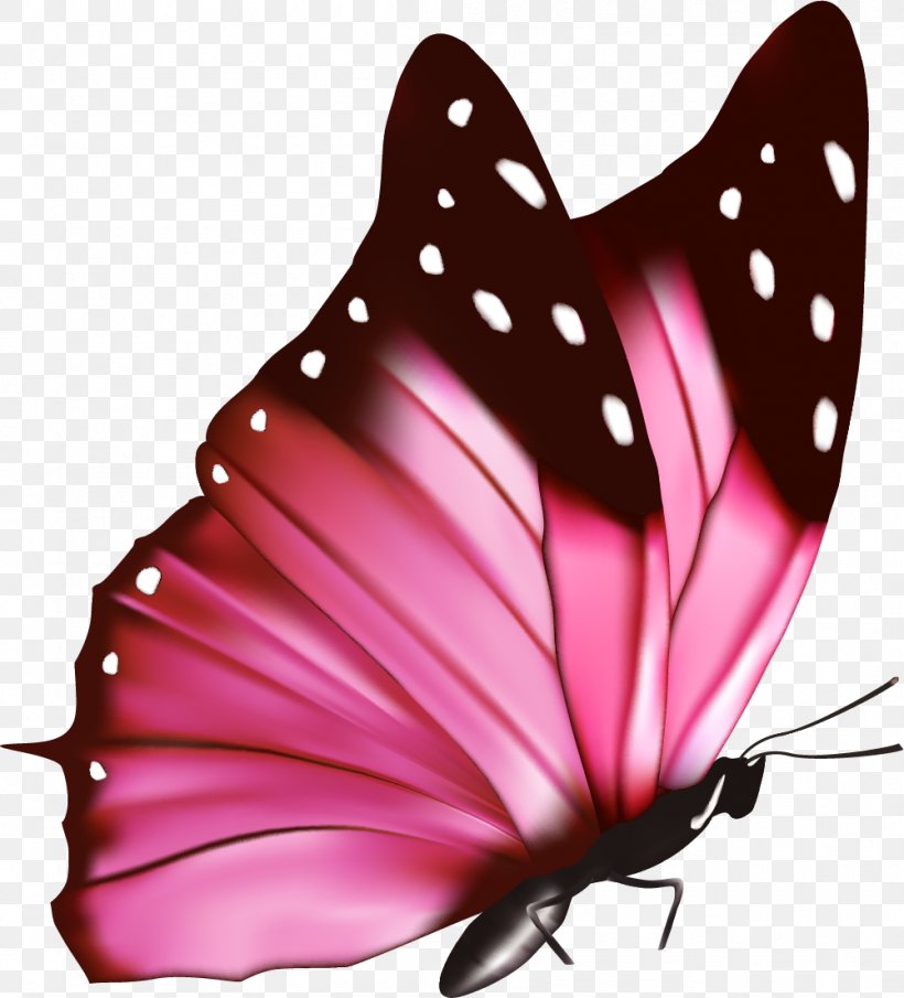 Pink Flowers Euclidean Vector Photography, PNG, 1001x1105px, Pink Flowers, Art, Arthropod, Brush Footed Butterfly, Butterfly Download Free