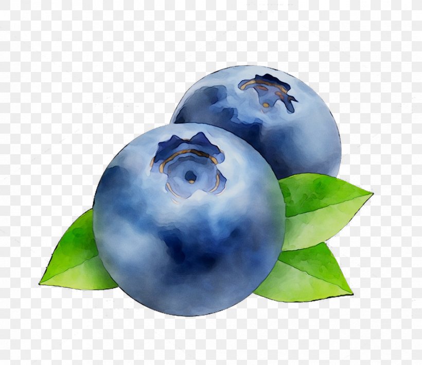 Bilberry Blueberry Sphere, PNG, 1246x1079px, Bilberry, Ball, Berry, Blue, Blueberry Download Free