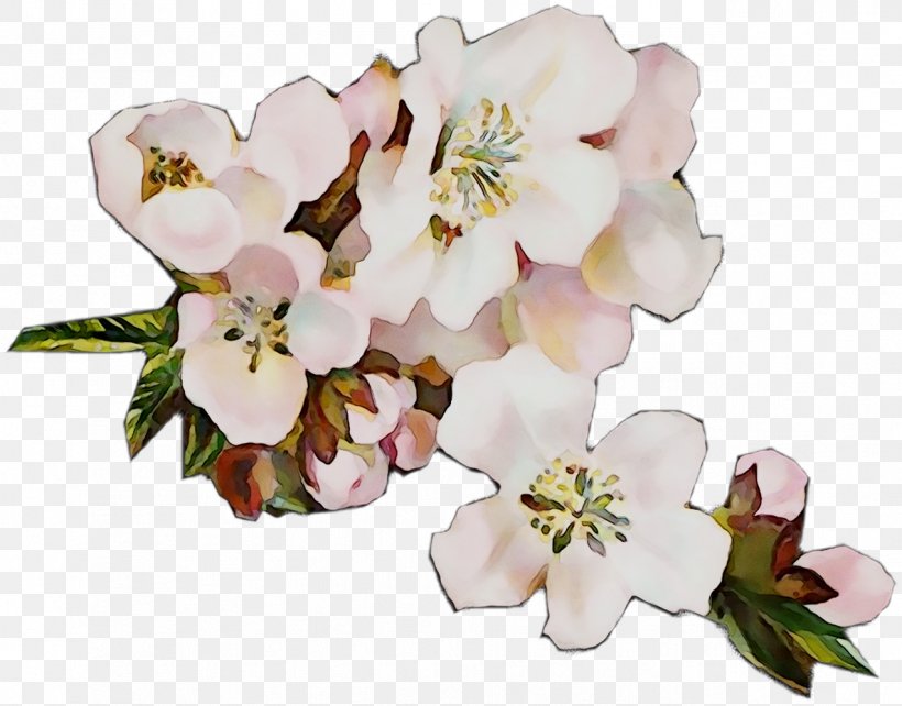 Cut Flowers Blossom Floral Design Flower Bouquet, PNG, 1274x999px, Flower, Artificial Flower, Blossom, Branch, Cherries Download Free