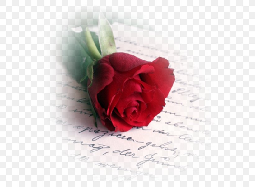 Valentine's Day Love Letter Romance Poetry, PNG, 600x600px, Love Letter, Artificial Flower, Cut Flowers, Day, Feeling Download Free