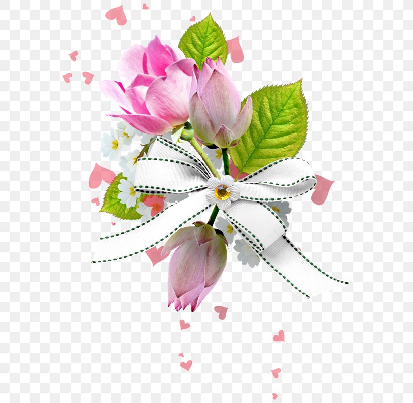 Flower Garden Roses Scrapbooking Clip Art, PNG, 585x800px, Flower, Blog, Blossom, Cut Flowers, Flora Download Free