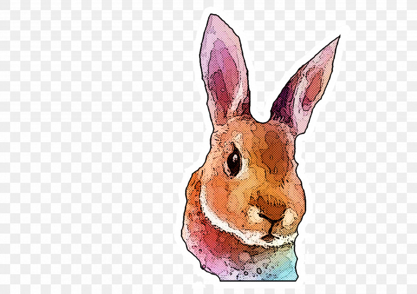 Rabbit Rabbits And Hares Hare Watercolor Paint Wood Rabbit, PNG, 3508x2479px, Rabbit, Animal Figure, Hare, Rabbits And Hares, Snout Download Free