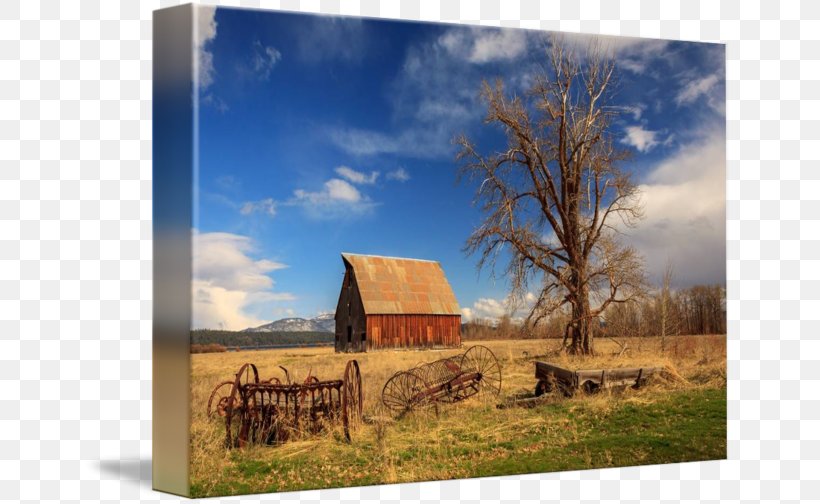 Ranch Barn Stock Photography Ecosystem, PNG, 650x504px, Ranch, Barn, Ecosystem, Farm, Home Download Free