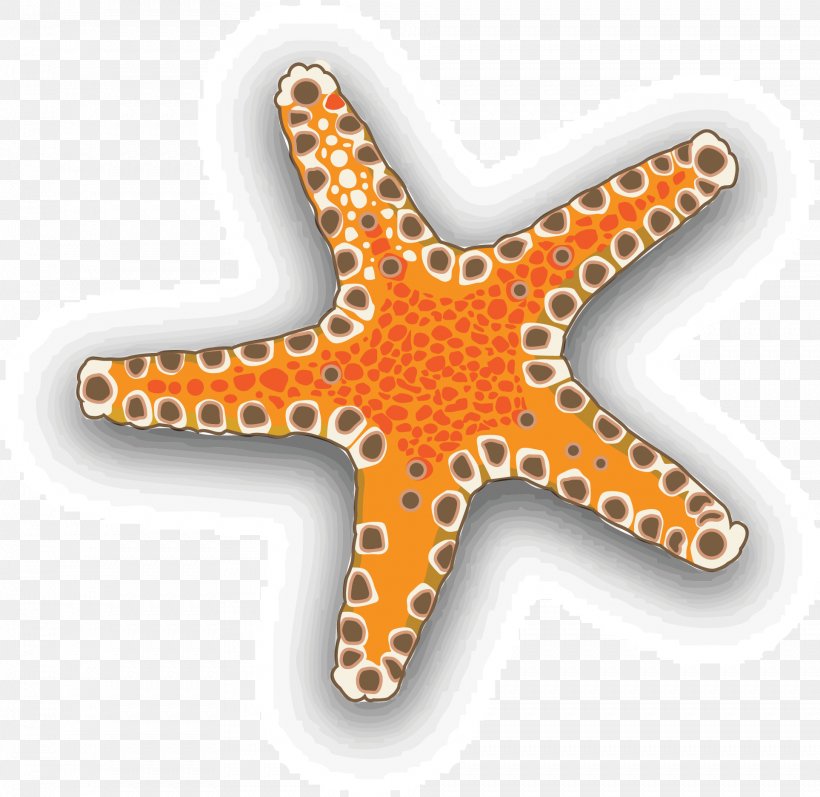 Starfish Euclidean Vector Download Clip Art, PNG, 1927x1874px, Starfish, Color, Echinoderm, Invertebrate, Marine Invertebrates Download Free
