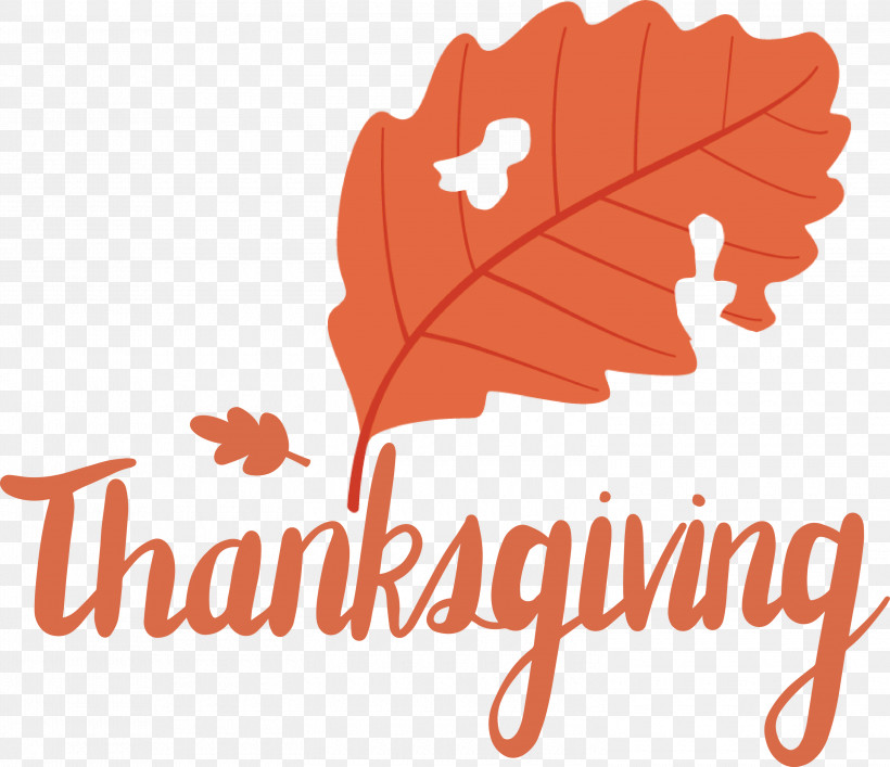 Thanksgiving, PNG, 3000x2587px, Thanksgiving, Flower, Fruit, Geometry, Leaf Download Free