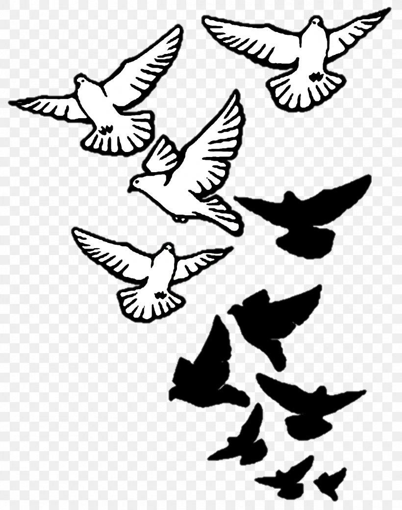 Columbidae Bird Tattoo Drawing Domestic Pigeon, PNG, 1295x1644px,  Columbidae, Art, Artwork, Beak, Bird Download Free