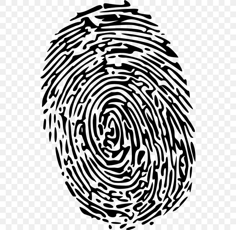 Clip Art, PNG, 540x800px, Fingerprint, Area, Black And White, Copyright, Drawing Download Free