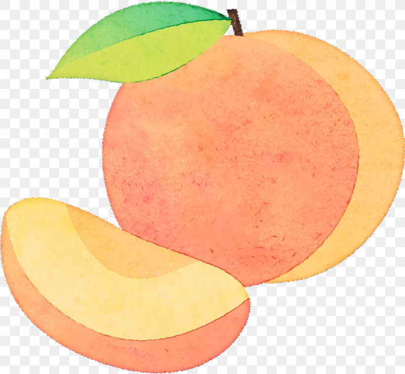Grapefruit Apple Apple, PNG, 1600x1478px, Watercolor, Apple, Grapefruit, Paint, Wet Ink Download Free
