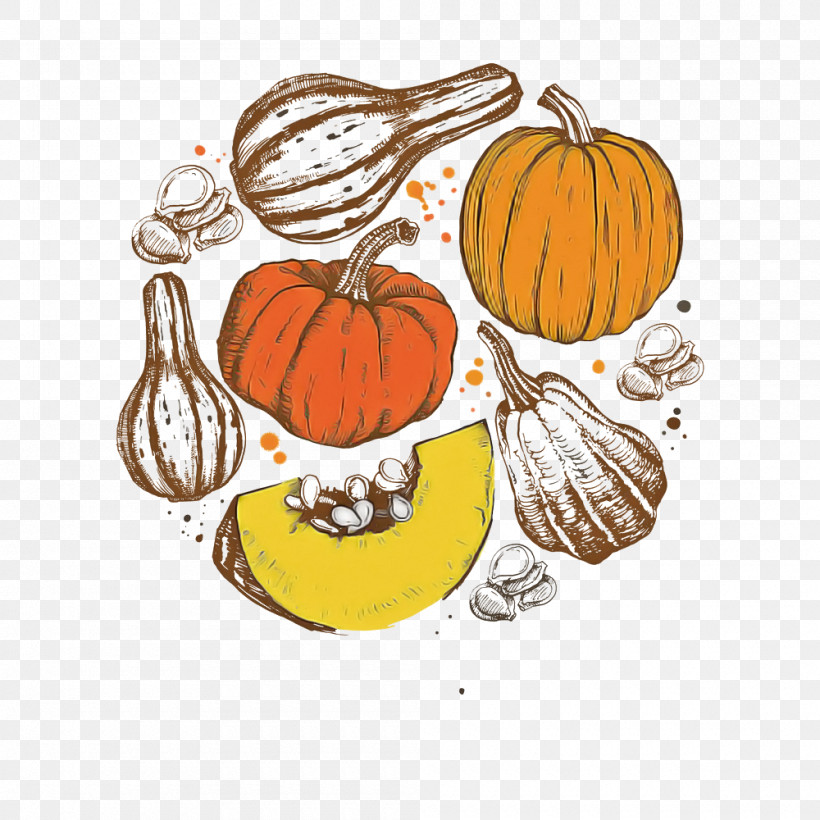 Pumpkin, PNG, 1000x1000px, Pumpkin, Calabaza, Cucurbita, Fruit, Gourd Download Free
